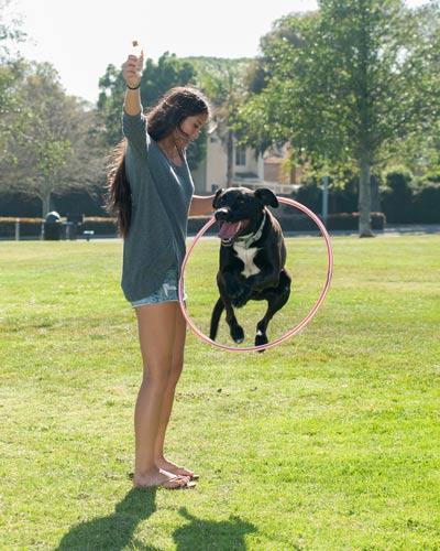 Labrador mix dog jumping through hula hoop that girl in gray sweater holds up.