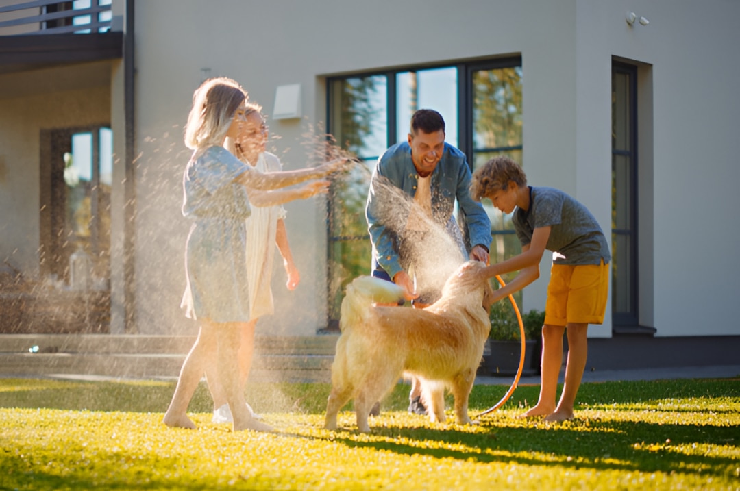 Family playing with dog outside