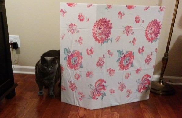 gray-cat-behind-privacy-screen Gray cat walking out from behind a cat litter box privacy screen covered in floral print.