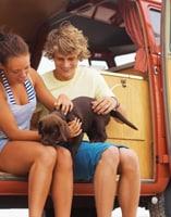 Transportation traveling