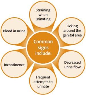 Common signs