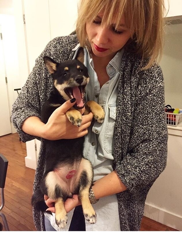 Woman in grey sweater holds up her black and brown dog.