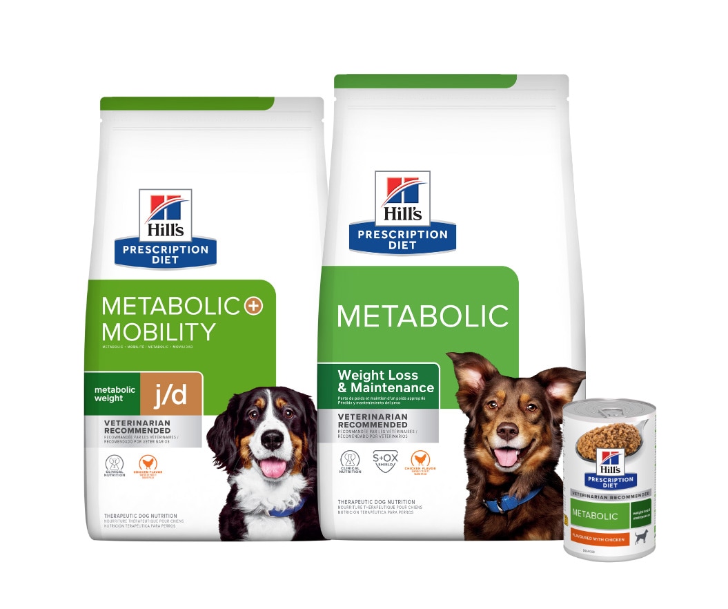 Prescription Diet Metabolic and Gluco Support