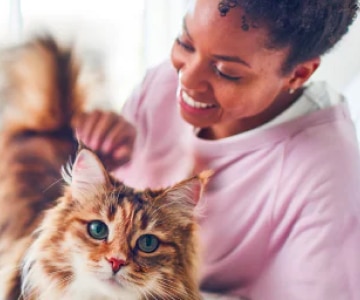 A woman playing with her brown-white cat on a bed