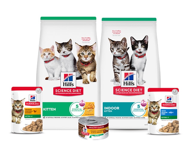Science Diet Dry Kitten Food Bags