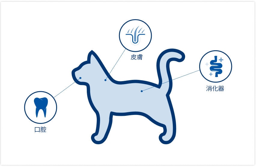 location of microbiomes on cat