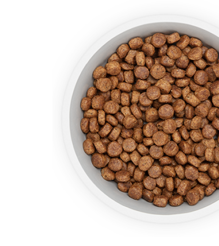 Dog food