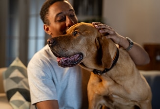 A person gently petting a golden dog, both looking happy