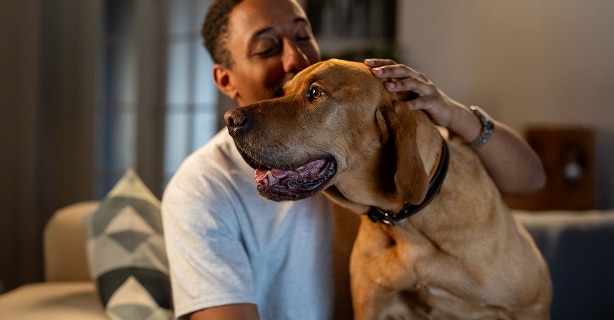 A person gently petting a golden dog, both looking happy