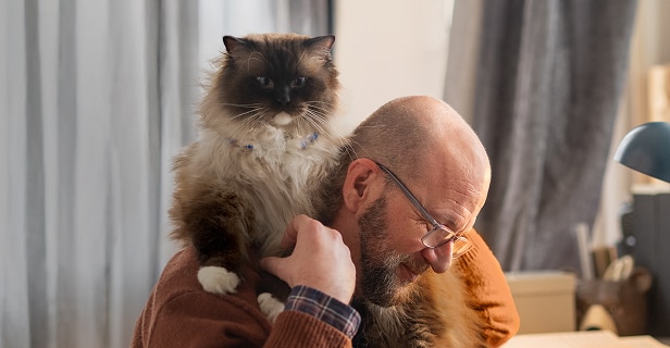 A man with glasses and a beard, looking down, with a fluffy cat perched on his shoulder