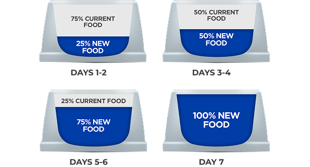 How to transition to Hill's food in 7 days