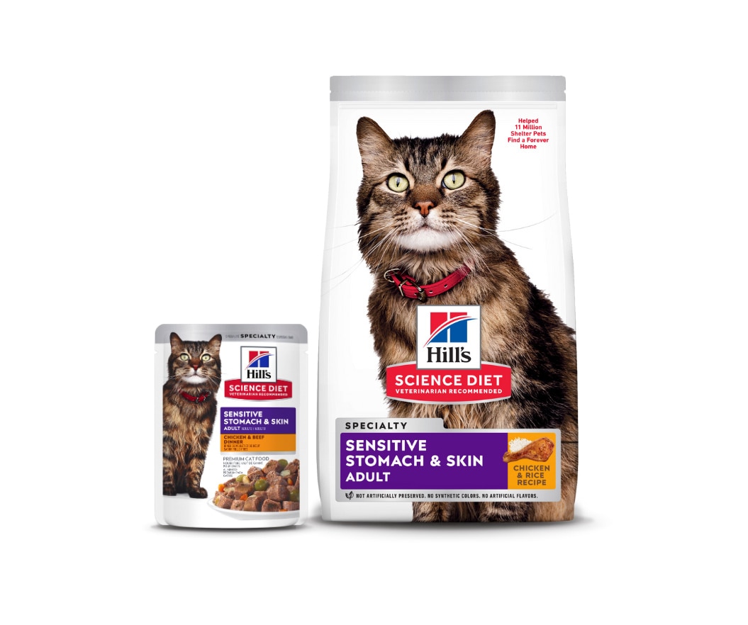Digestive health cat foods