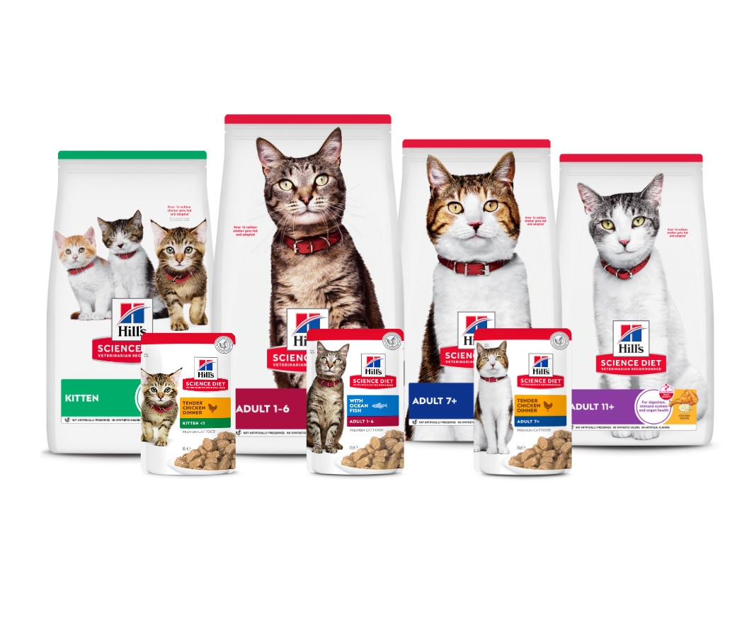 Lifestage cat foods