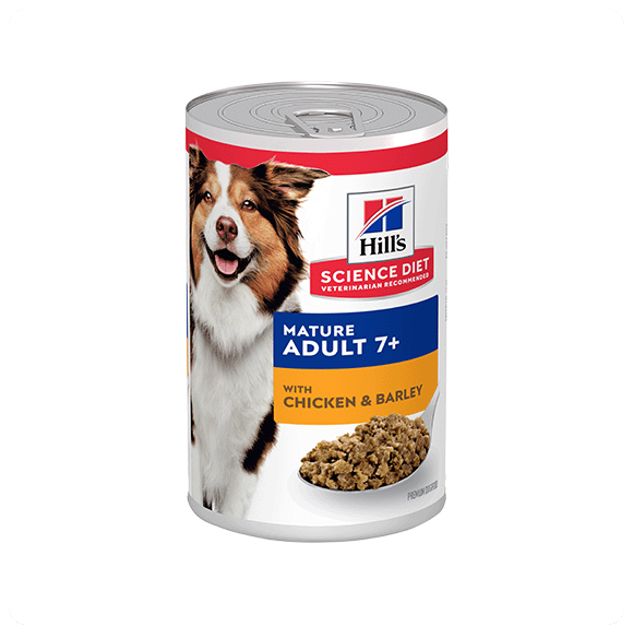 Senior wet dog food