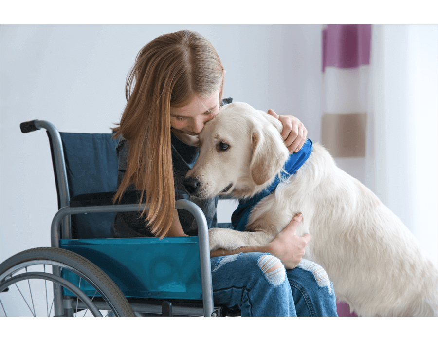 Girl in wheelchair with assistance dog