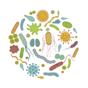 Specialized for their size packshot