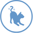 An active cat icon