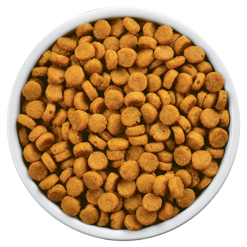 pd-cd-multicare-feline-with-ocean-fish-dry